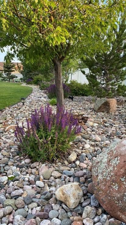Landscaping & Hardscaping project in Geelong